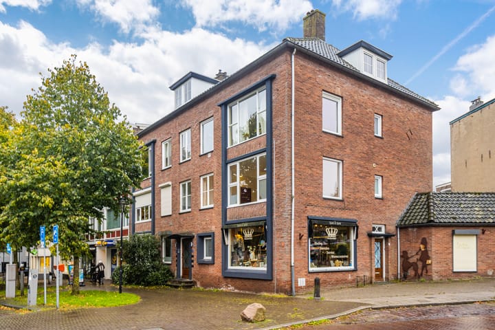 Van Lawick van Pabststraat 113-2 in Arnhem foto