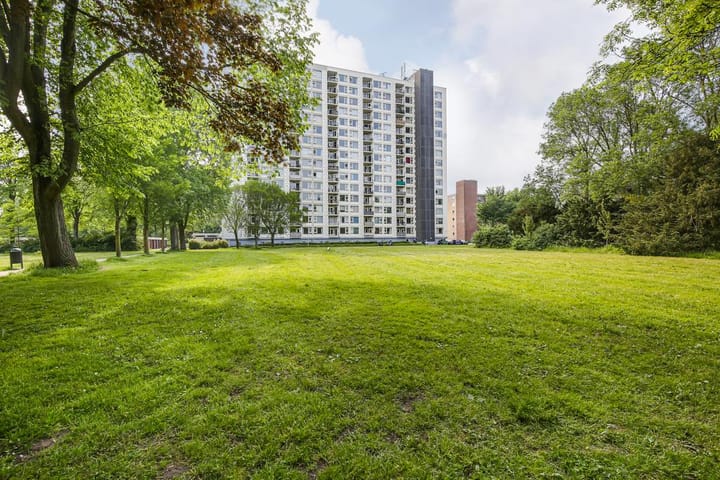 Van Leeuwenhoekstraat 5-0014 in Haarlem foto