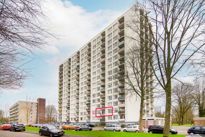 Van Leeuwenhoekstraat 5-0019 in Haarlem