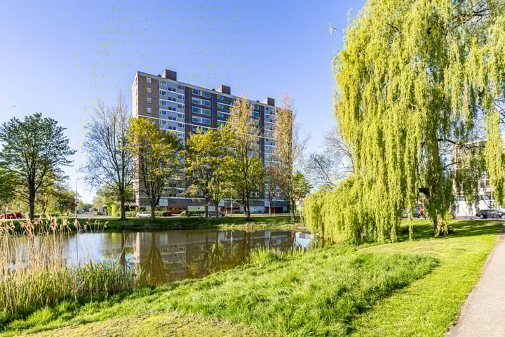Van Lenneplaan 265 in Groningen