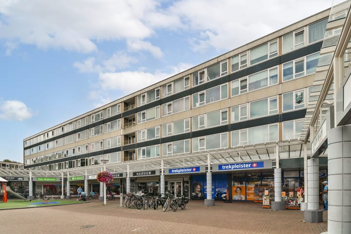 Van Oldenbarneveltplein 102 in Dordrecht