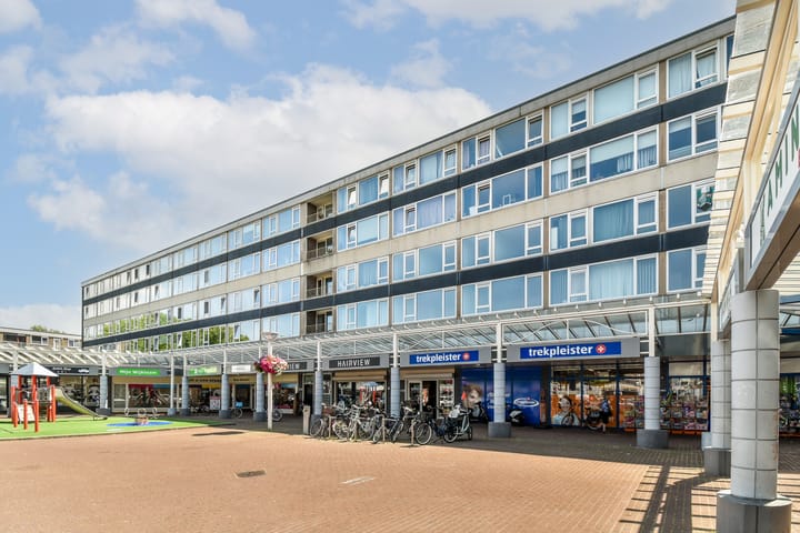 Van Oldenbarneveltplein 97 in Dordrecht