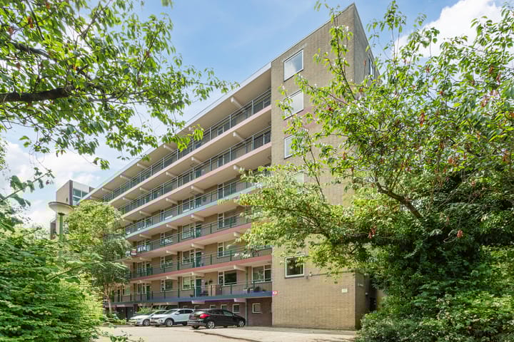 Van Oldenbarneveltstraat 452 in Nijkerk