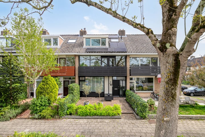 Van Polanenstraat 17 in Hendrik-Ido-Ambacht