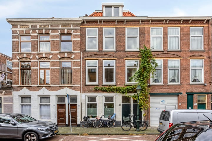 Van Swindenstraat 223 in 's-Gravenhage
