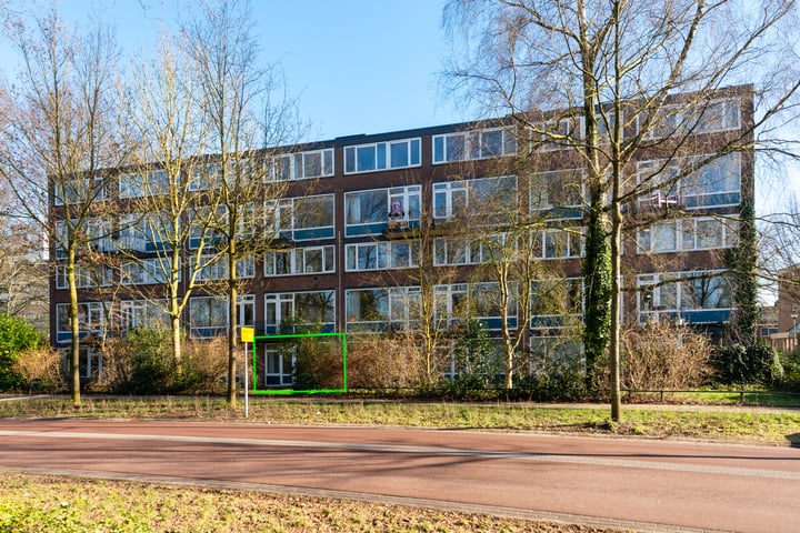 Van 't Hoffstraat 43 in Wageningen