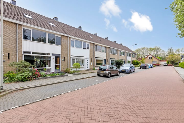 Van Tets van Goudriaanstraat 3 in Gorinchem