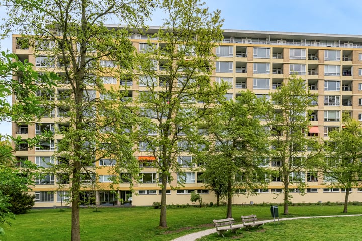 Van Vollenhovenplein 37 in Leiden