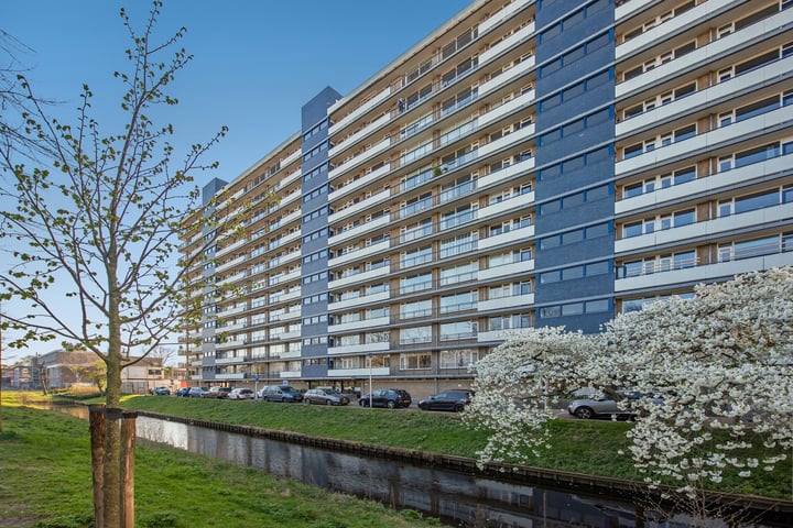 Foto von Haus van Vredenburchweg 519, Rijswijk