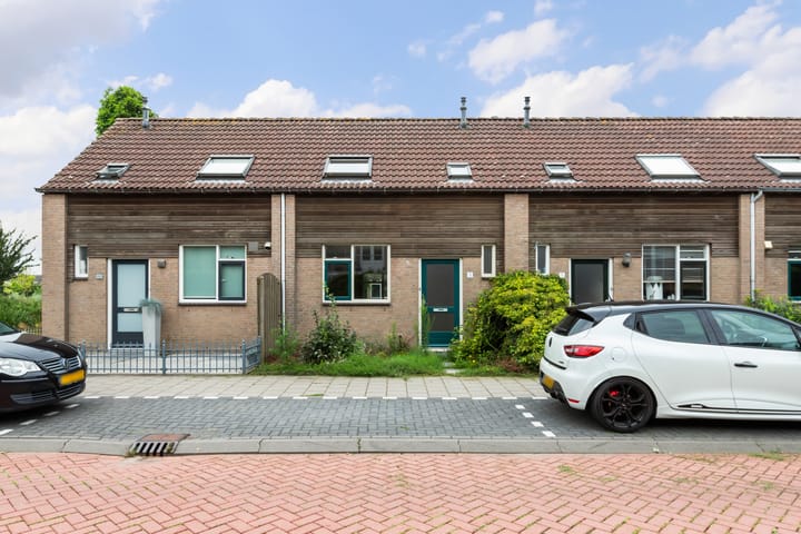 Veenmos 3 in Reeuwijk