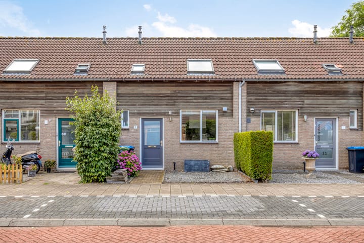 Veenmos 9 in Reeuwijk
