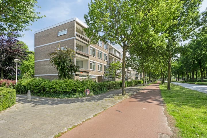 Veldmaarschalk Montgomerylaan 446 in Eindhoven