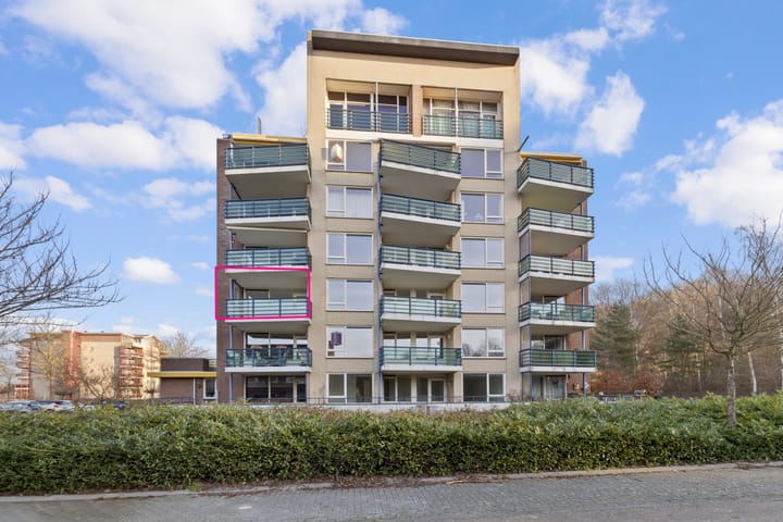 Veldzuring 111 in Venlo