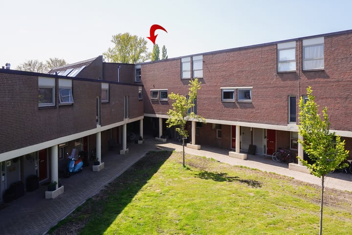Venus 71 in Berkel en Rodenrijs