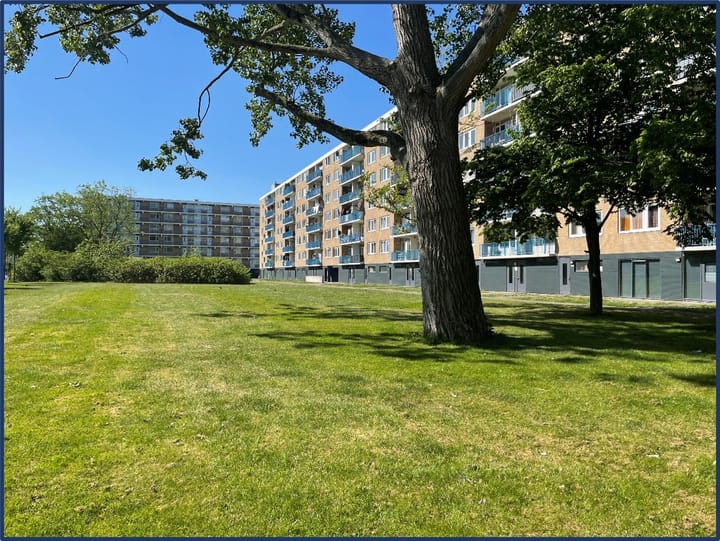 Venusstraat 374 in Alphen aan den Rijn