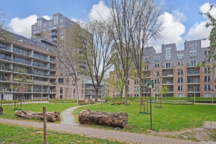 Verhulstplein 19F in 's-Gravenhage