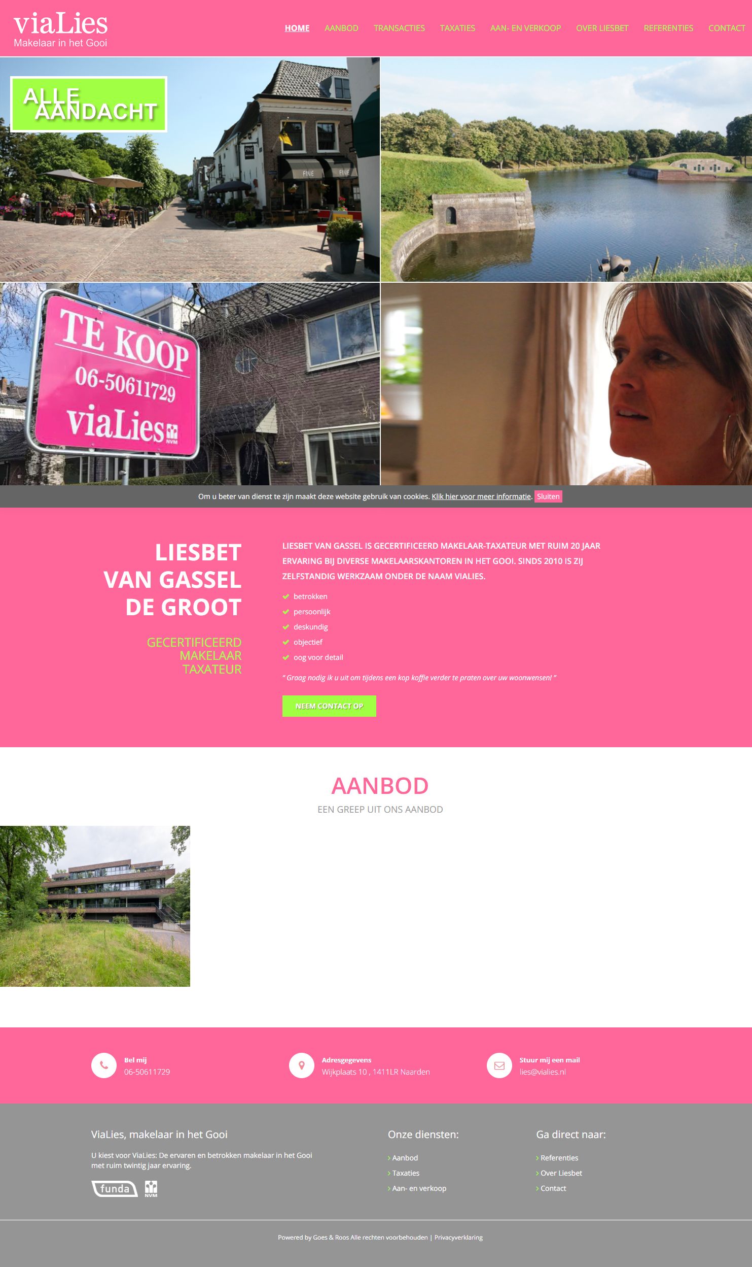 Screenshot van de website van www.vialies.nl