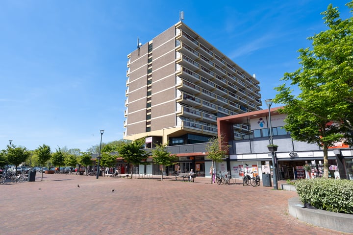 Vijf Meilaan 168 in Leiden