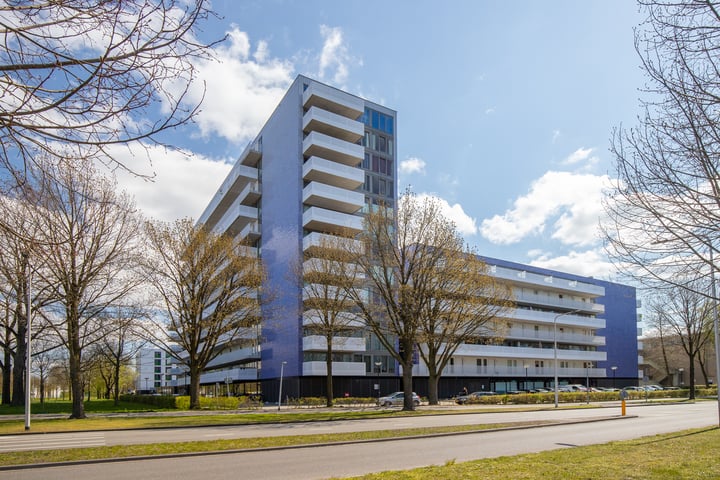 Vijfhagen 179 in Breda