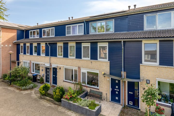 Vijfvingerkruid 10 in Amersfoort