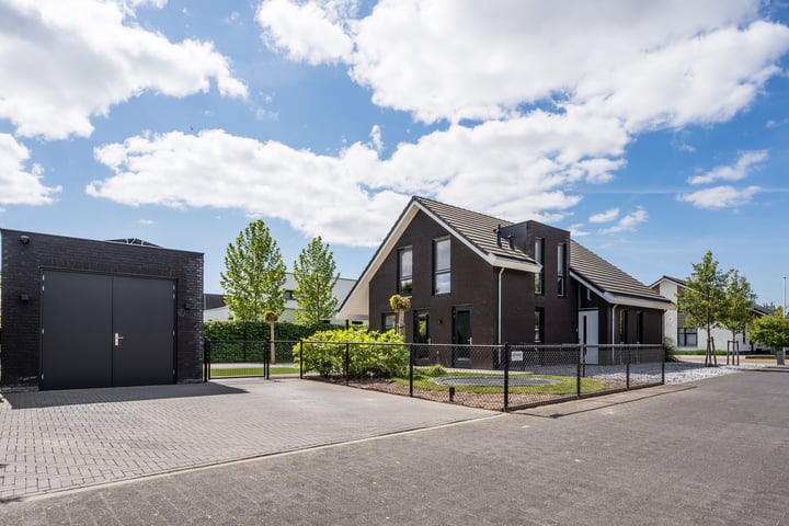 Vijfvingerkruid 16 in Berghem