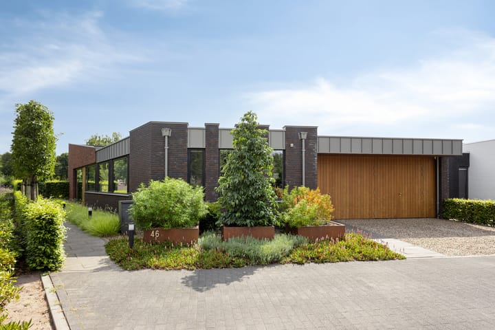 Vijfvingerkruid 46 in Berghem