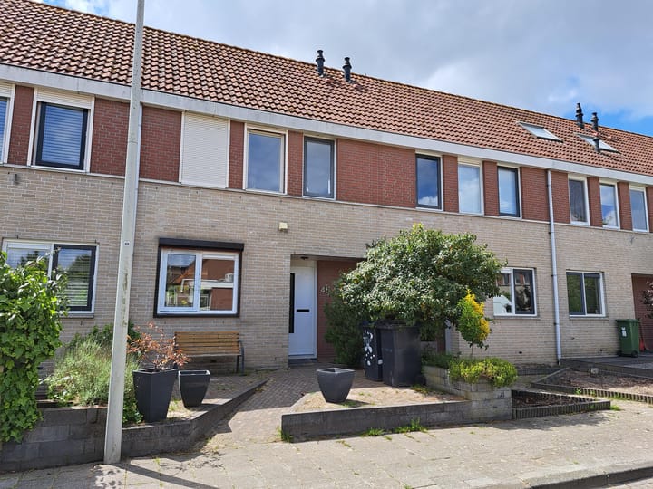 Visarend 45 in Bergen op Zoom