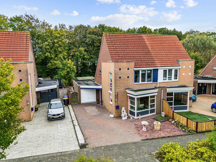 Visarend 5 in Tollebeek