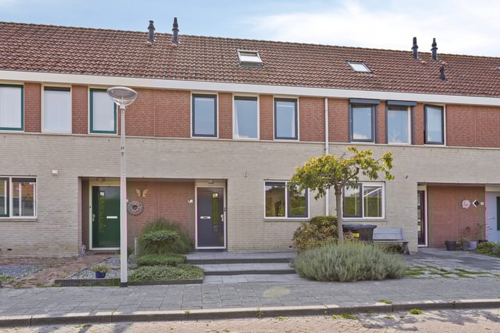 Visarend 59 in Bergen op Zoom