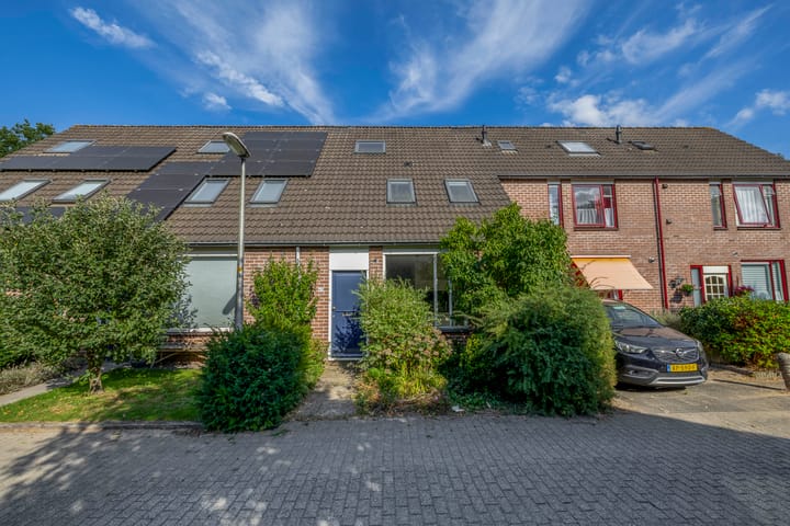 Vlaamse gaai 43 in Deventer