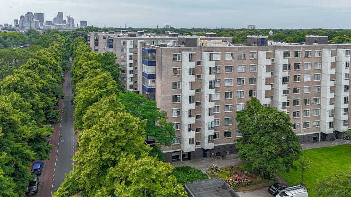 Vlaskamp 494 in 's-Gravenhage