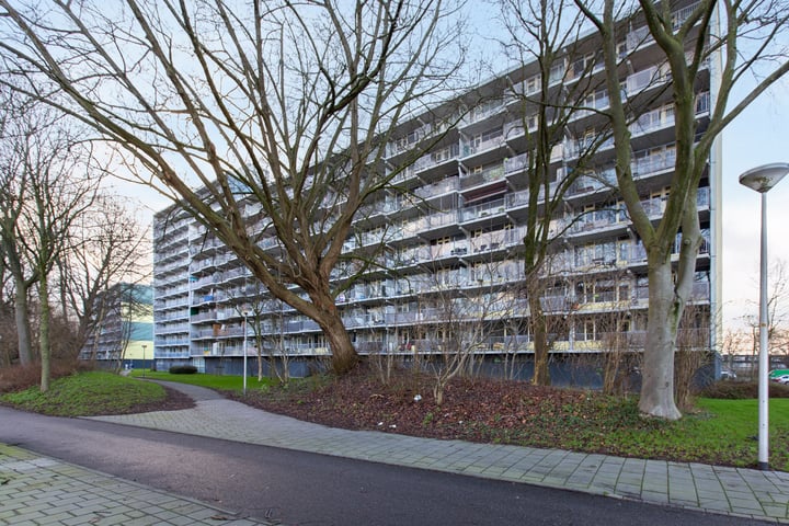 Vliestroom 113 in Alphen aan den Rijn