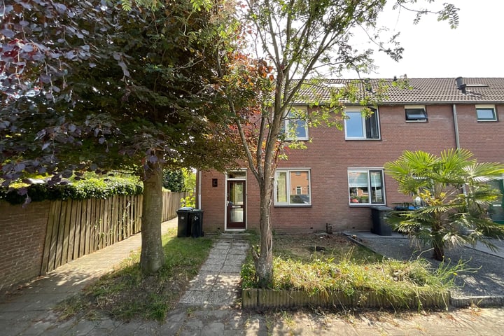 Voetakker 1 in Zaltbommel