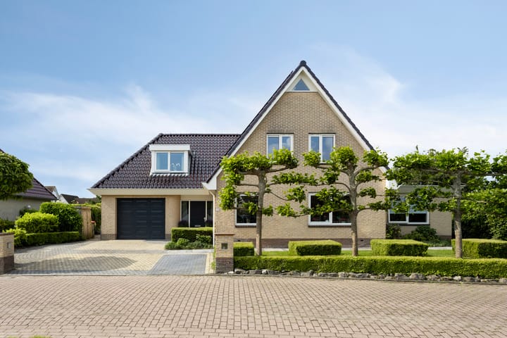 Vogelzwin 20 in Sneek