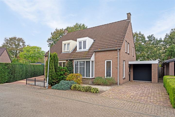 Voorstveld 42 in Boekel