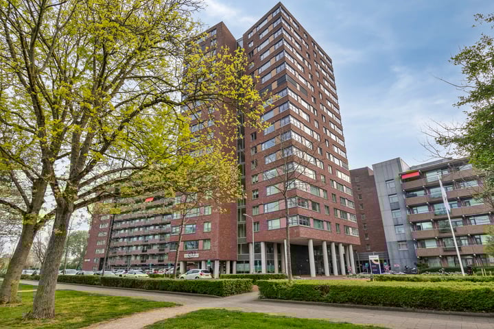 Vredehoflaan 286 in Vlissingen
