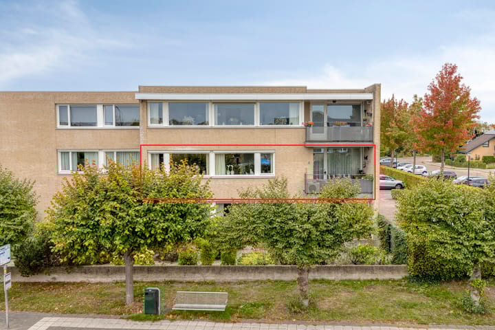 Vroente 50 in Prinsenbeek