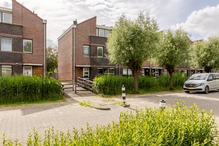 Vrouwenmantel 45 in Schoonhoven foto