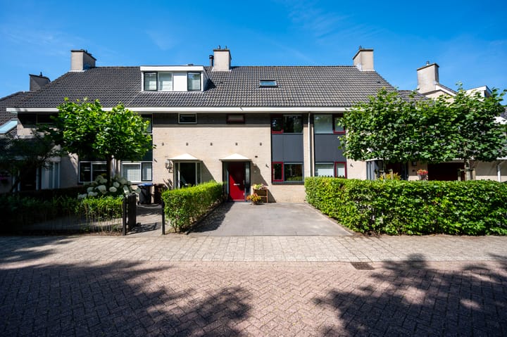 Vrouwenmantel 7 in Breukelen