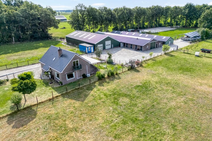 Vuile Riete 4 in Linde photo