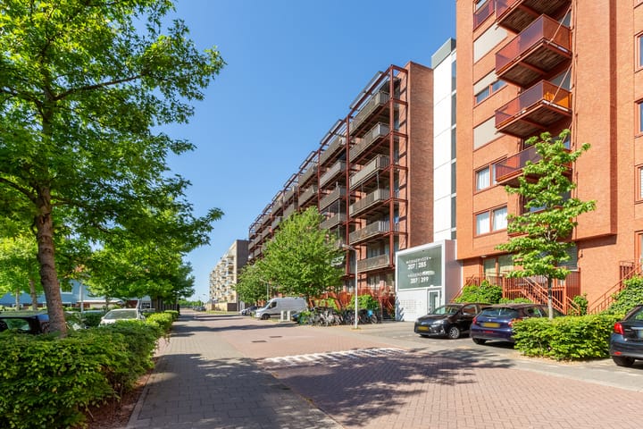 Vurehout 305 in Zaandam