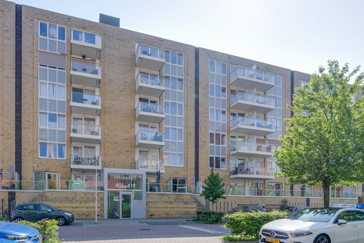 Vurehout 401 in Zaandam