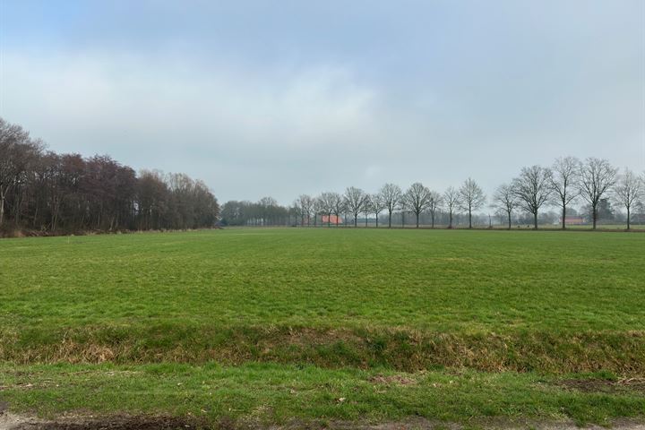 W.-B.-Scheidingsweg 6 in Hengevelde