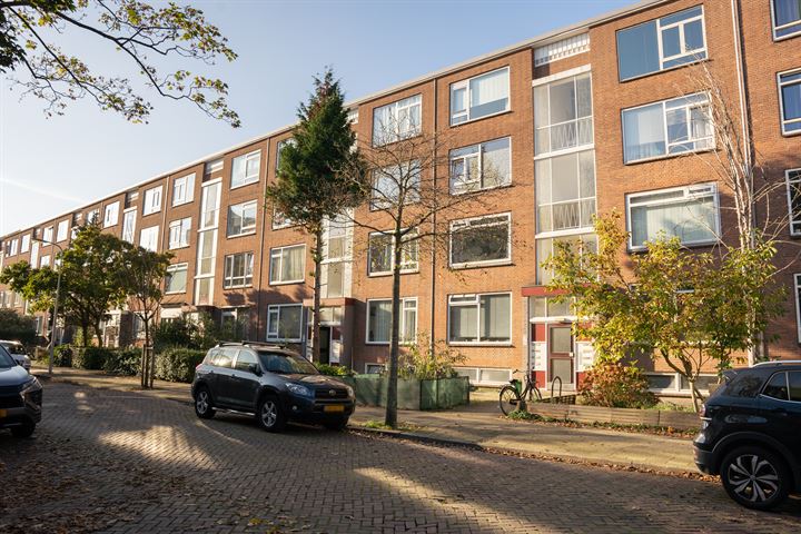 Wantsnijdersgaarde 509 in 's-Gravenhage