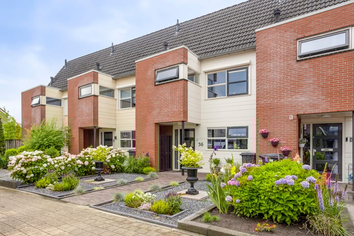 Warmelo 36 in Losser