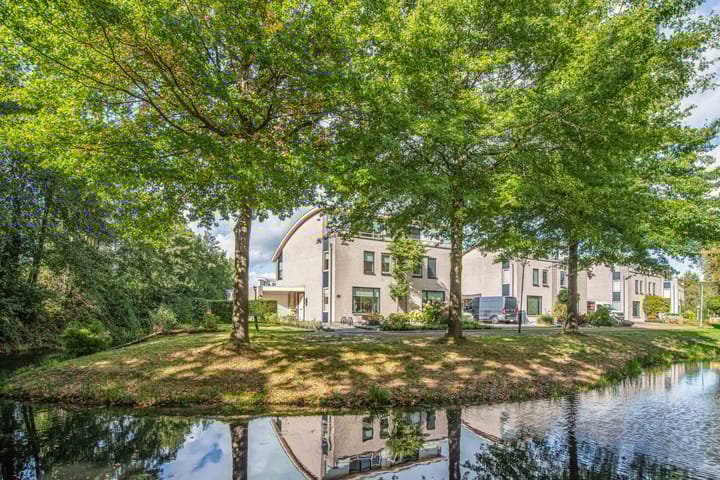 Waterlelie 1 in Drachten