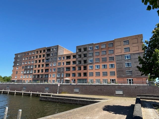 Waterlelie 11 in Zwolle