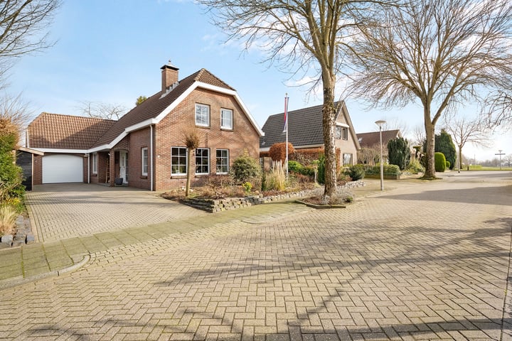 Waterlelie 14 in Hardenberg