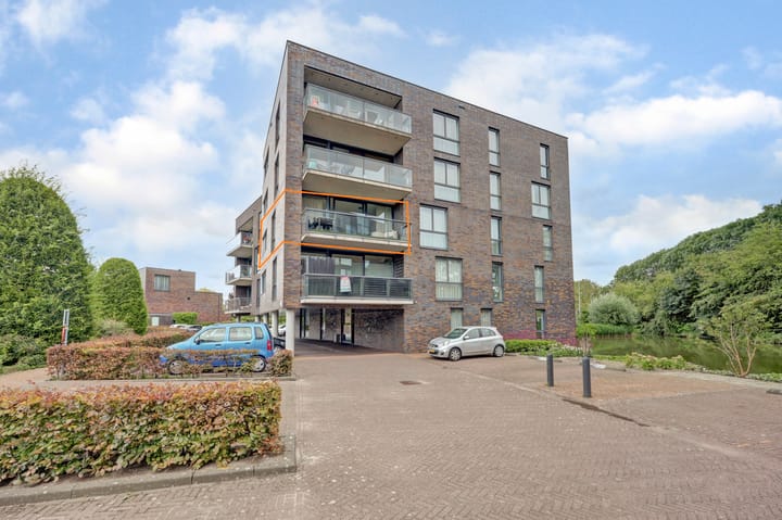 Waterlelie 162 in Roelofarendsveen