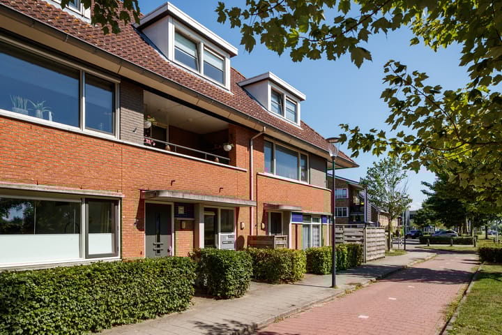 Waterlelie 35 in Montfoort
